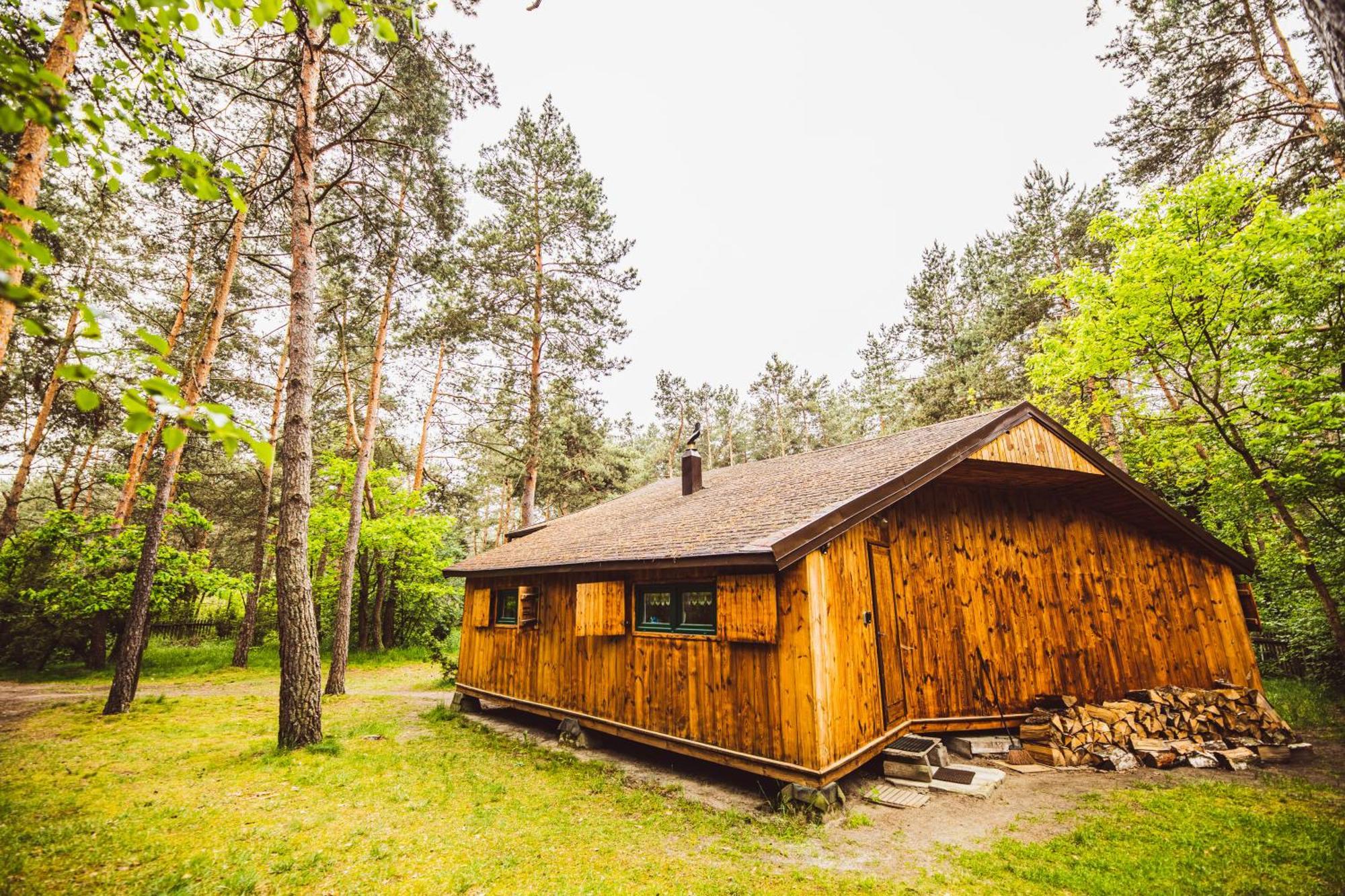 Cozy Nature Retreat With Patio Fireplace Garden Maciejowice Exterior photo
