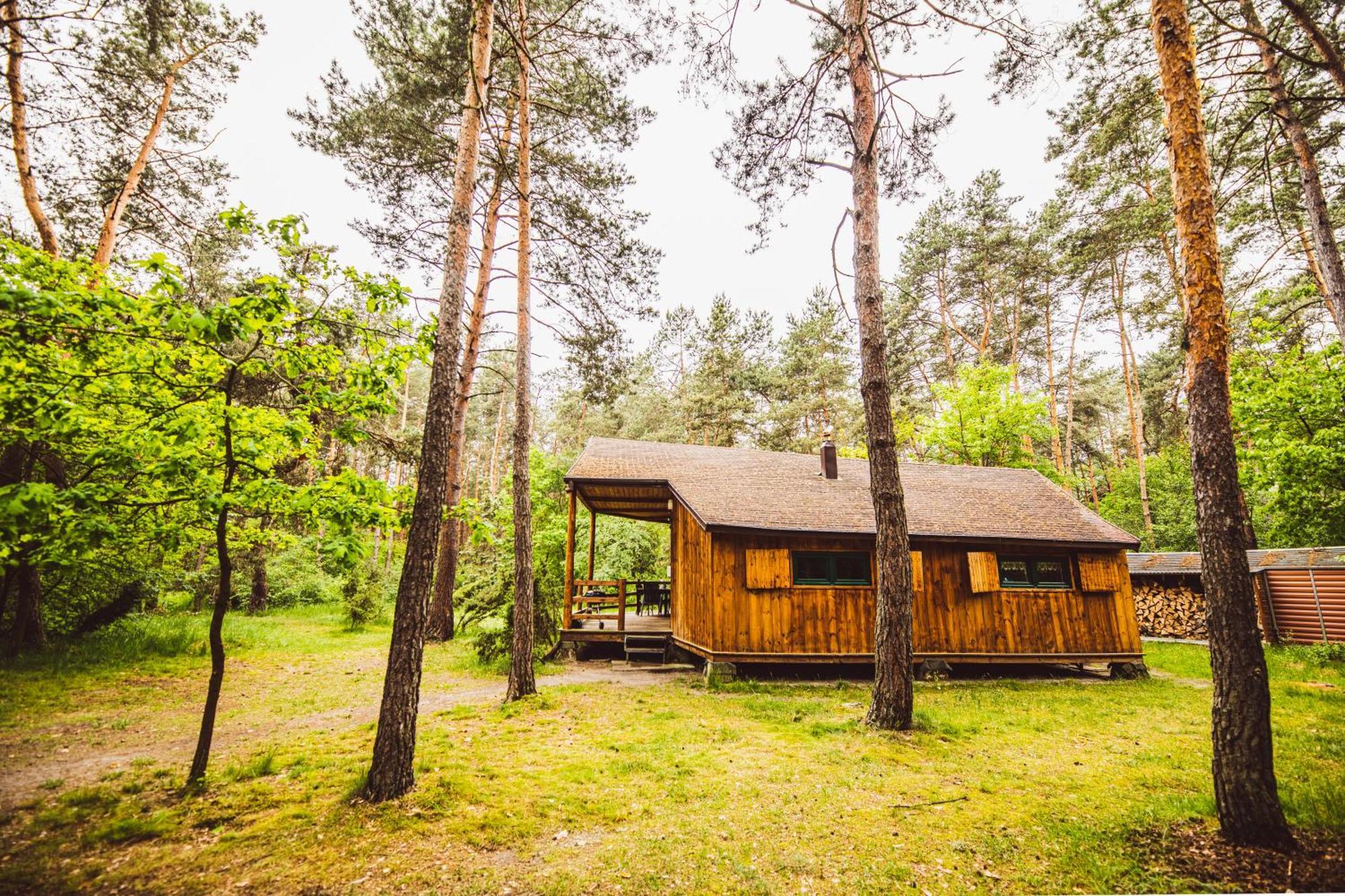 Cozy Nature Retreat With Patio Fireplace Garden Maciejowice Exterior photo